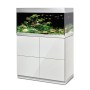 Oase HighLine Aquarium-Set 200 l in Weiß mit Unterschrank, bepflanzt und mit Fischen.
