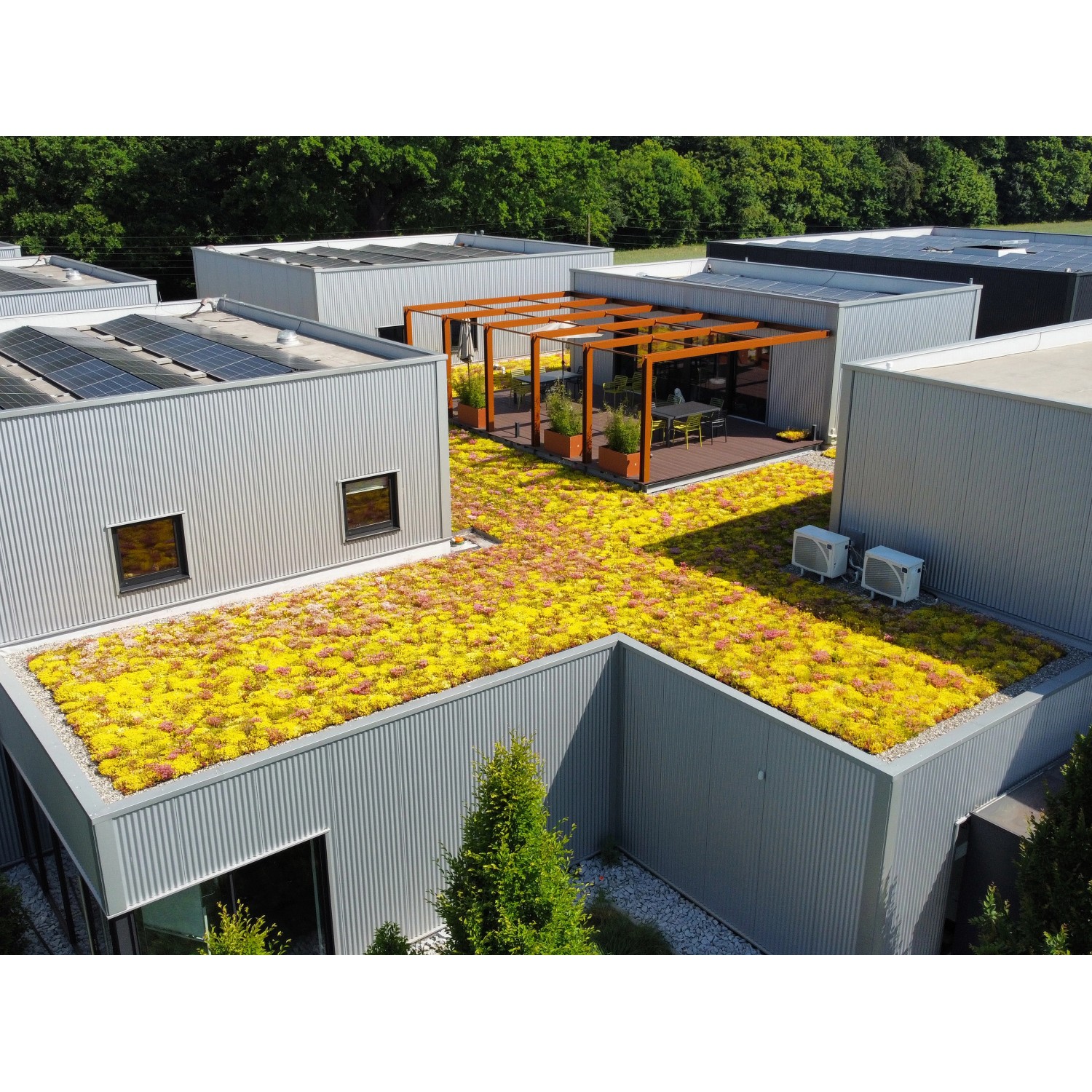 Dachbegrünung Plantile 35 m² 45 m² kaufen bei OBI