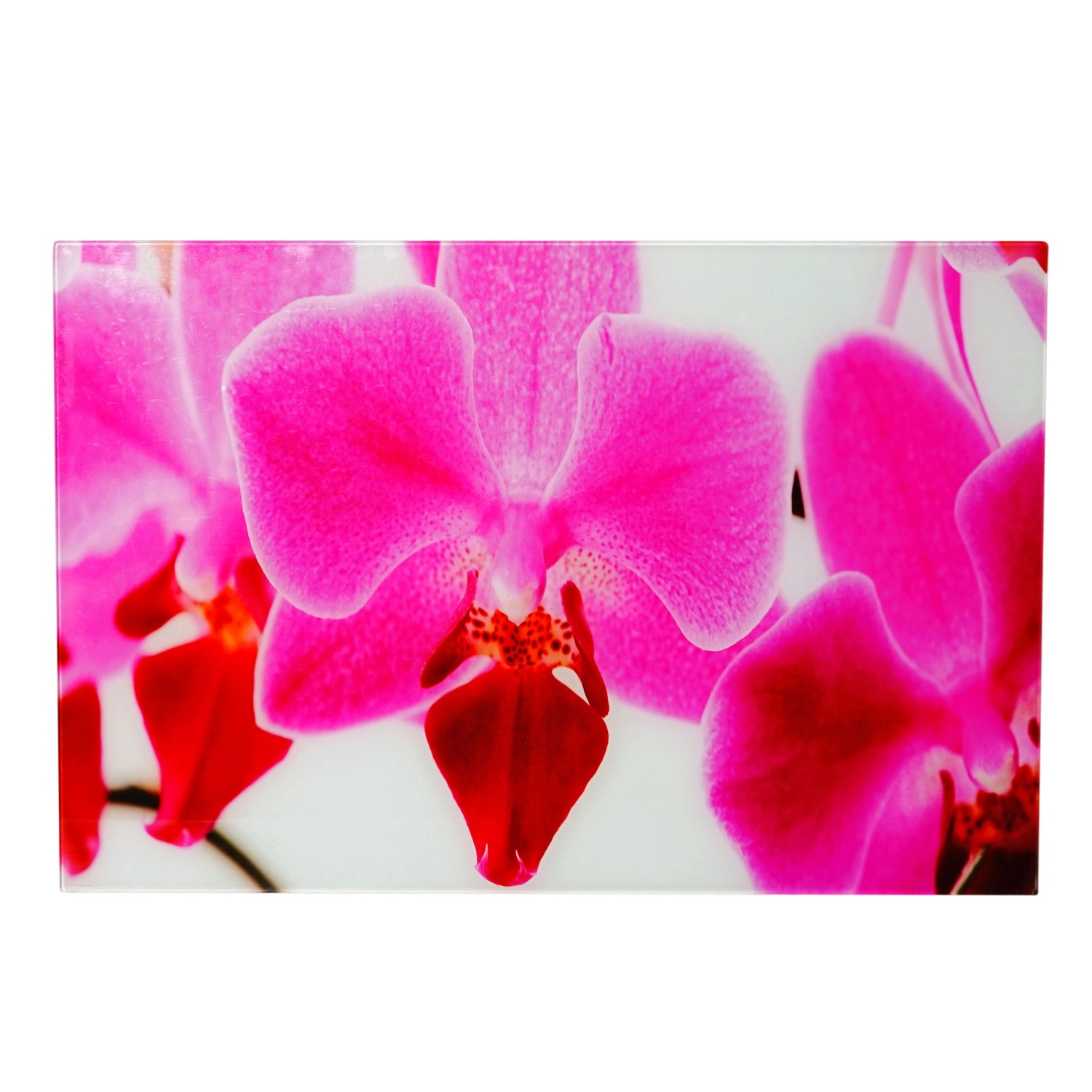 MCW Glasbild T117 40x60cm Orchidee günstig online kaufen