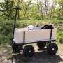 Schwarzer Sunny Bollerwagen Billy Beach Wagon mit Luftreifen, Holzkorpus und Fußball im Garten.