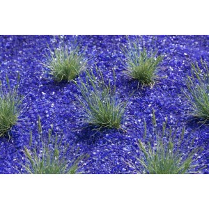 Blaugrüner Blauschwingel 'Azurit' (Festuca Cinerea) im 9x9 cm Topf auf blauen Steinen.