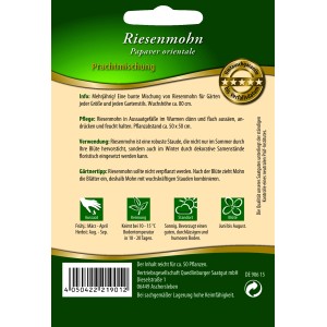 Samentüte Türkischer Mohn 'Prachtmischung' von Quedlinburger, mehrjährige, bunte Bauerngartenblume.