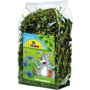 JR Farm Nager-Snack Spitzwegerich, 100g Packung Ergänzungsfutter für Nager.