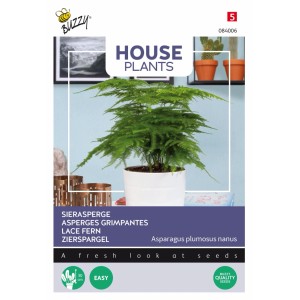 Zierspargel Buzzy House Plants Samen Ca. 1 g Für Innenbereich