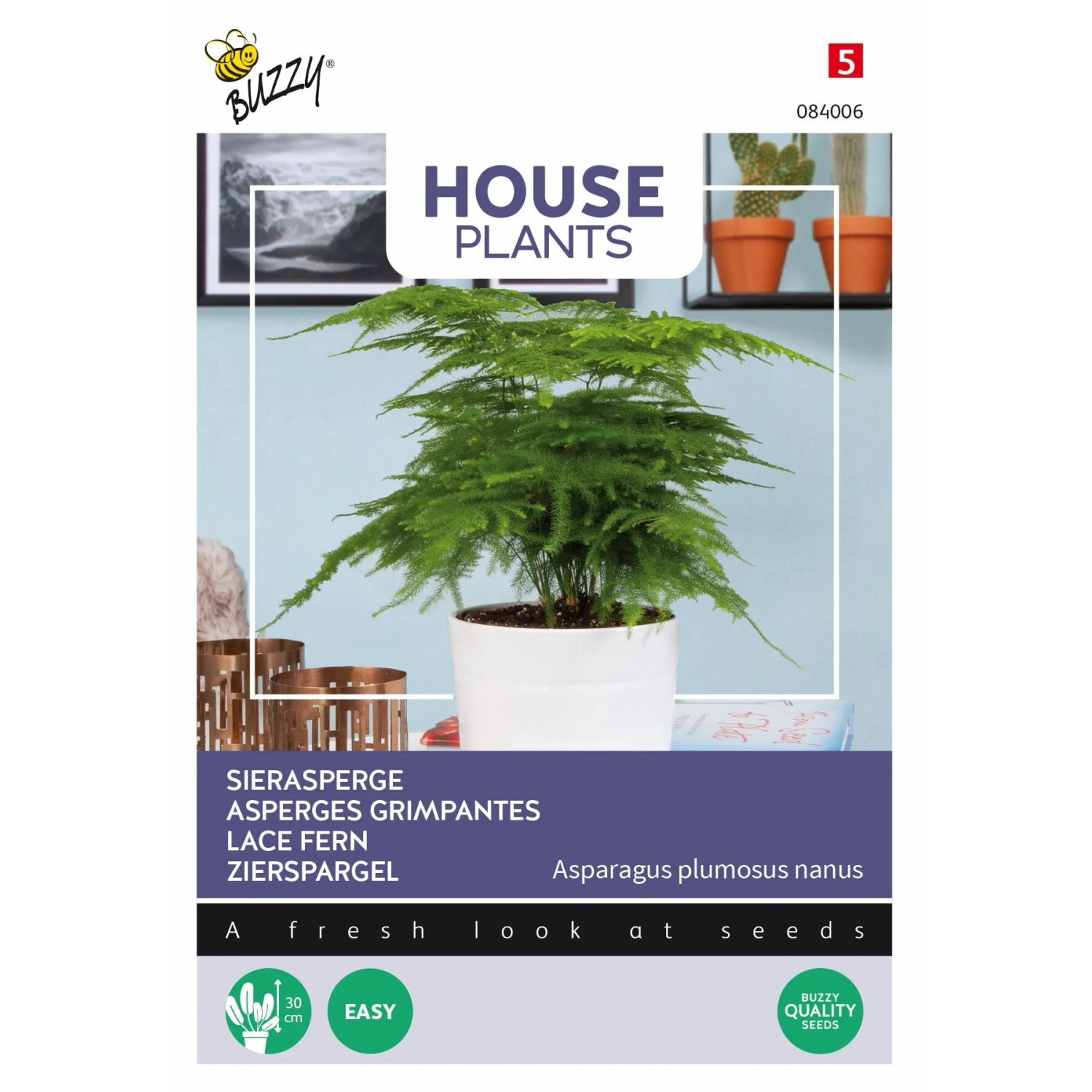 Zierspargel Buzzy House Plants Samen Ca. 1 g Für Innenbereich