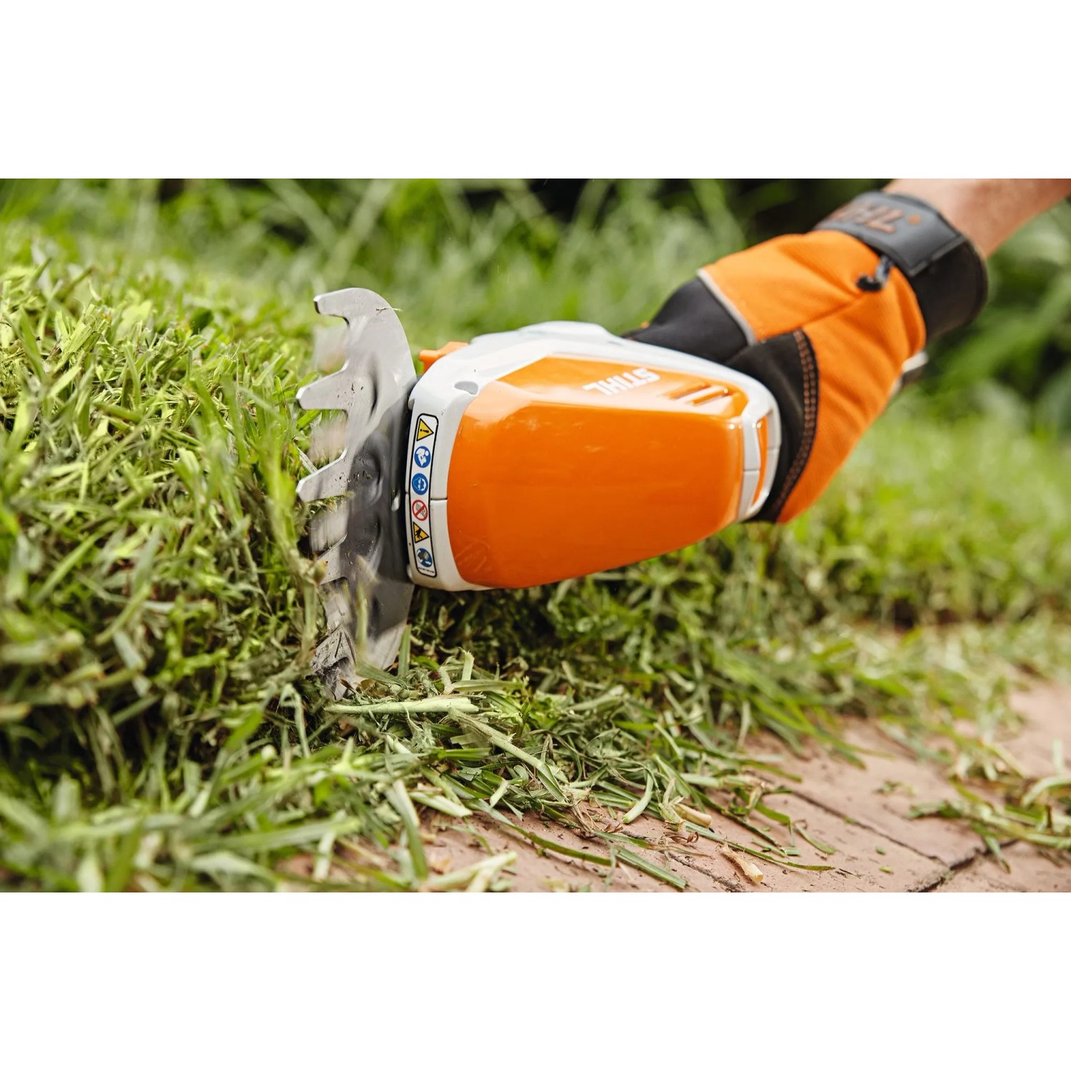 Stihl HSA 26 Akku-Strauchschere schneidet Gras, bedient von Hand mit Handschuh.