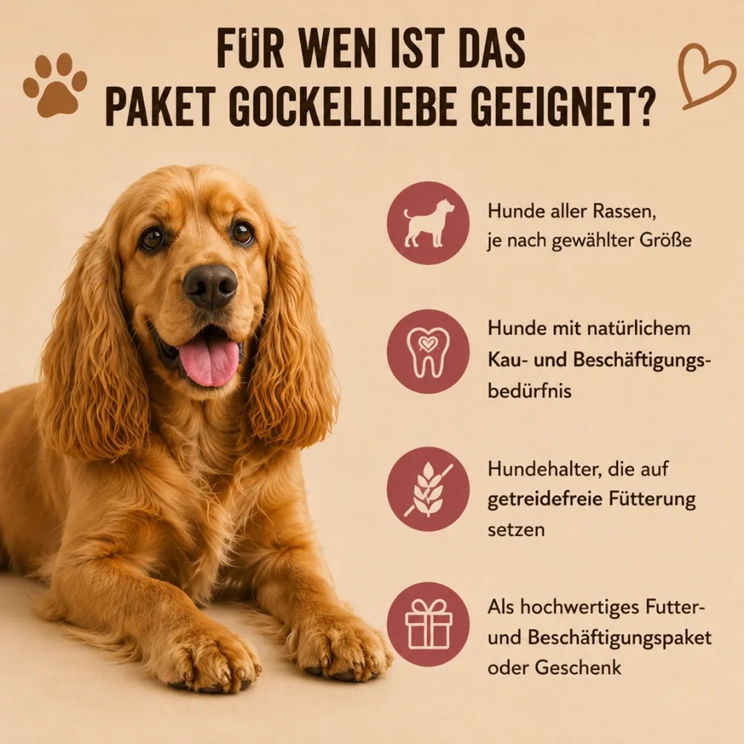 Wildfang Paket Gockelliebe L_4