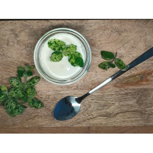 Blu Bio-Rokoko-Minze (Mentha suaveolens calixte) im Glas mit Löffel auf Holzbrett.