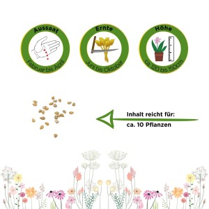 Illustration: Deine Gartenwelt Stabtomate Supersweet 100 F1 Samen, Anbauhinweise und Erntezeitraum.