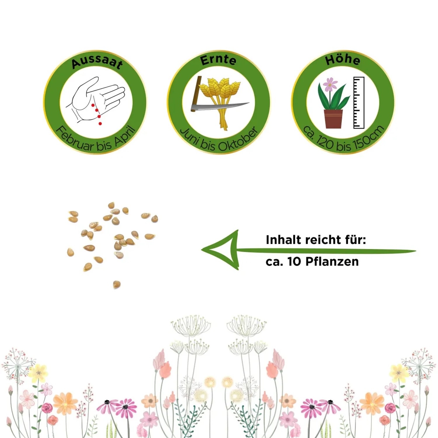 Illustration: Deine Gartenwelt Stabtomate Supersweet 100 F1 Samen, Anbauhinweise und Erntezeitraum.