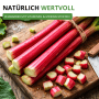 Frischer roter Rhabarber, ganze Stangen und geschnittene Stücke auf Holzbrett. Gemüse reich an Vitaminen.
