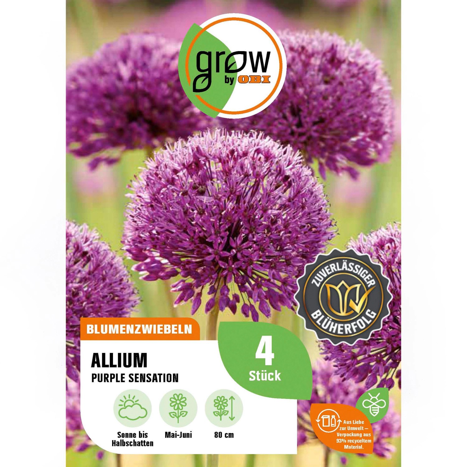 GROW by OBI Zierlauch Purple Sensation 4 Stück Allium aflatunense Allium günstig online kaufen