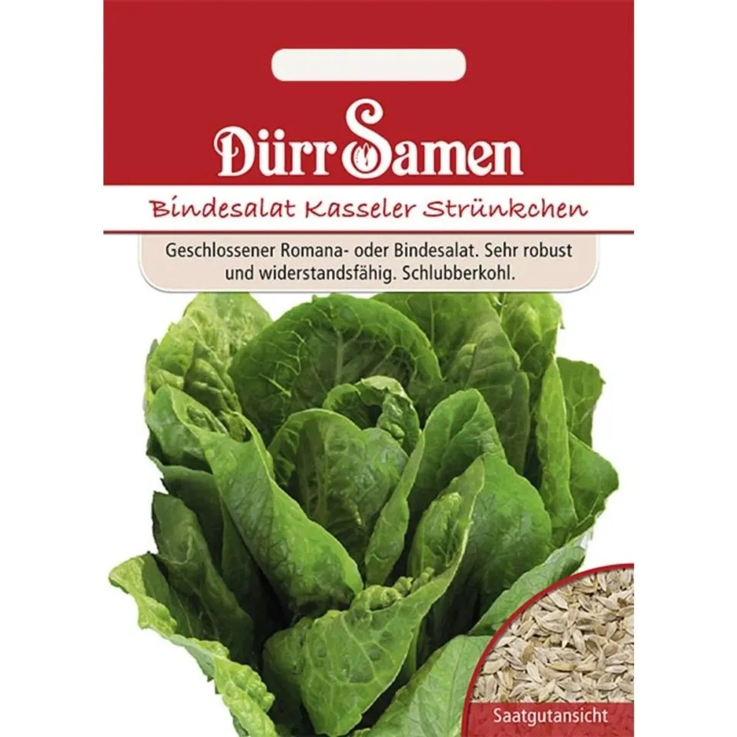 Dürr Samen Bindesalat Kasseler Strünkchen Saatgut