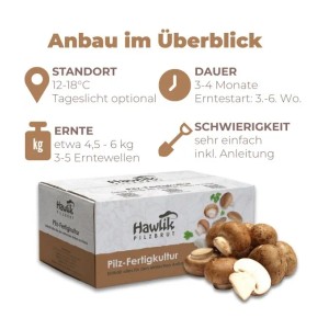 Hawlik Pilzbrut Pilzzuchtset-Bundle für Champignons mit 2 Großen Zuchtsets für Weiße und Braune Champignons Ideal für Anfänger