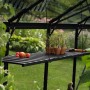 Schwarzes, abklappbares Aluregal (120x30cm) im Gewächshaus mit Pflanzen und Tomaten.