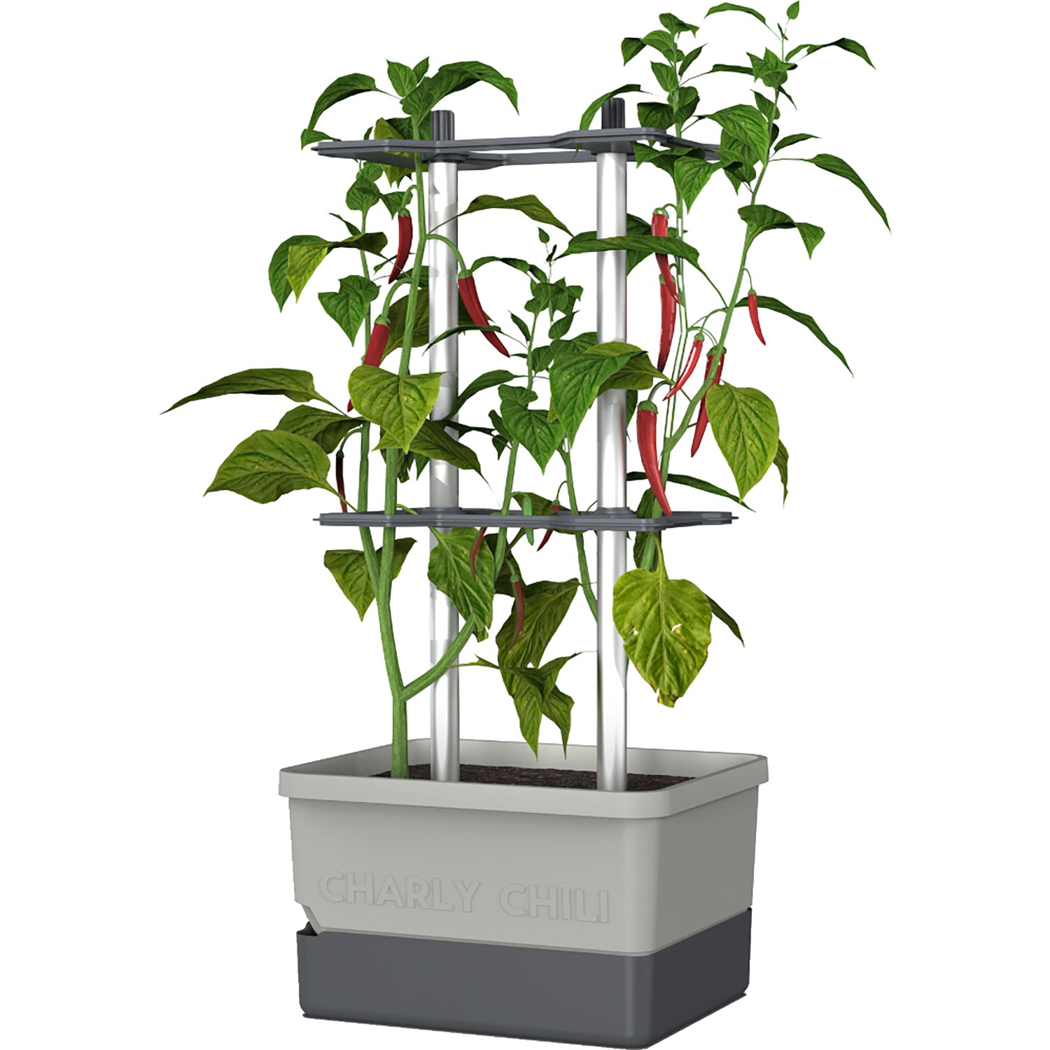 Gusta Garden Anzuchtsgefäß Charly Chili 10 L hellgrau