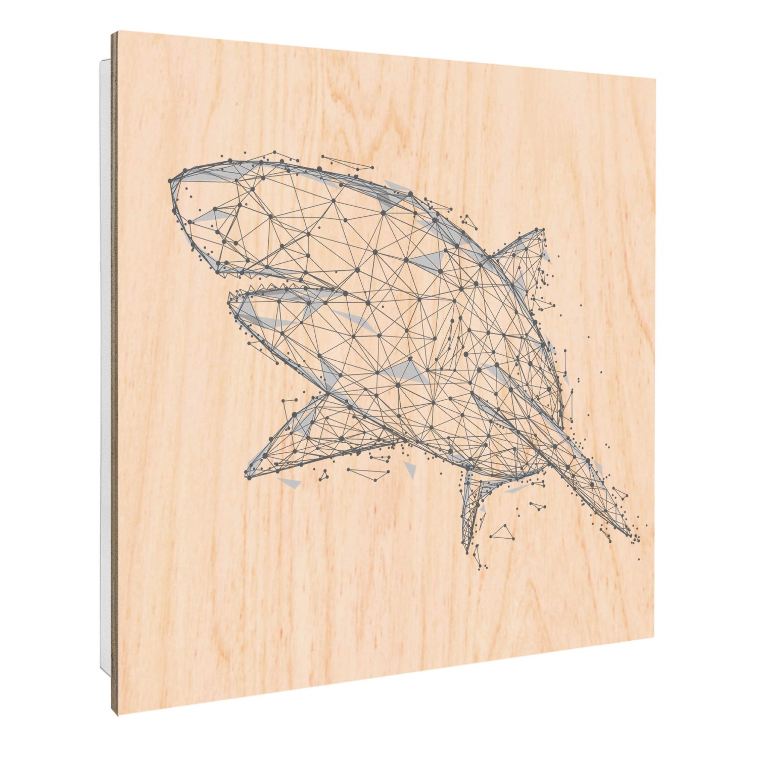 Banjado Schlüsselkasten mit Holzfront 30x30cm Weiß Scharnier Links 50 Haken günstig online kaufen