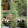 Säulen Bambus Maasai, Fargesia murielae, 125-150cm hoch, im Garten