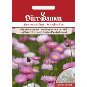 Dürr Samen Sonnenflügel: Einjährige Blumensamen-Mischung in Rosa, Rot und Weiß für Beet und Trockenbinderei.