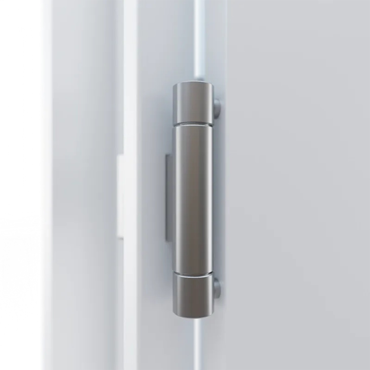 Detailaufnahme: Weißes FM Türen NBT56 Modell 01 mit silbernem Türband.