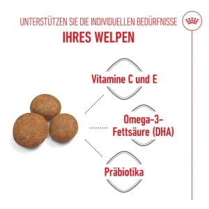 Royal Canin Maxi Puppy Trockenfutter: Vitamine C+E, Omega-3 (DHA), Präbiotika für Welpen großer Rassen.
