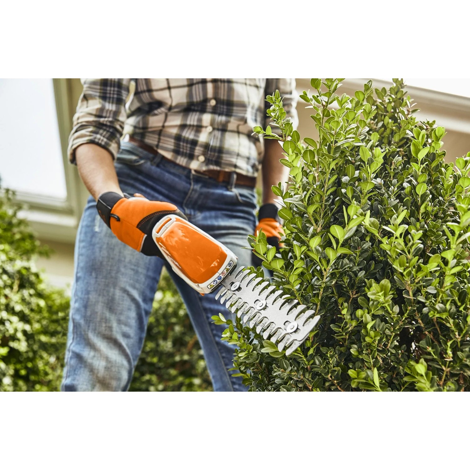 Stihl HSA 26 Akku-Strauchschere in Orange beim Heckenschnitt. Inkl. Akku und Ladegerät.