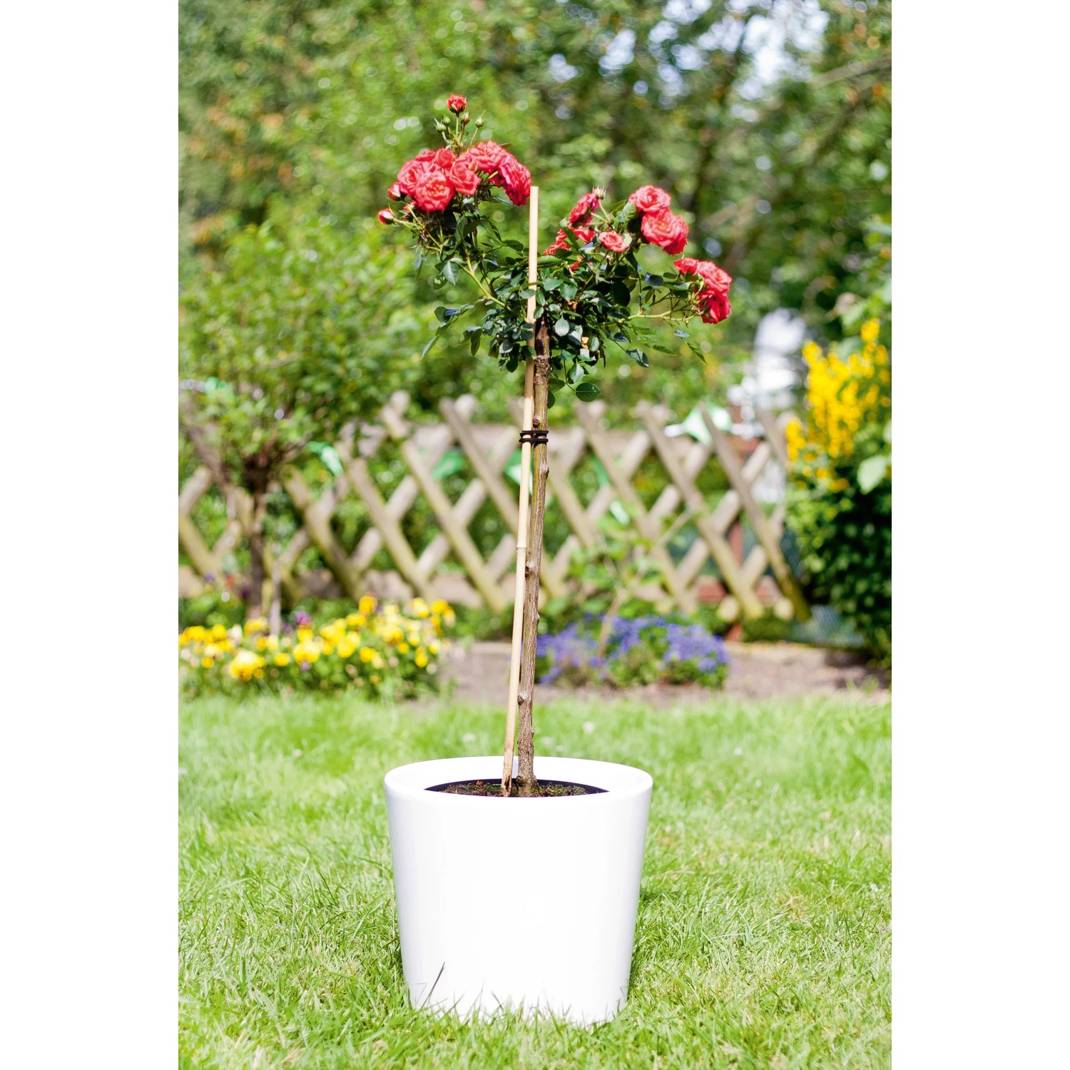 naturstein blumenkasten XL Pflanzkübel 'Millennium' 100 Liter, rechteckig in Braun – Kreher Technik main image 1