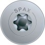 Detailaufnahme: Spax Universalschraube mit Flachkopf und T-Star plus Antrieb.