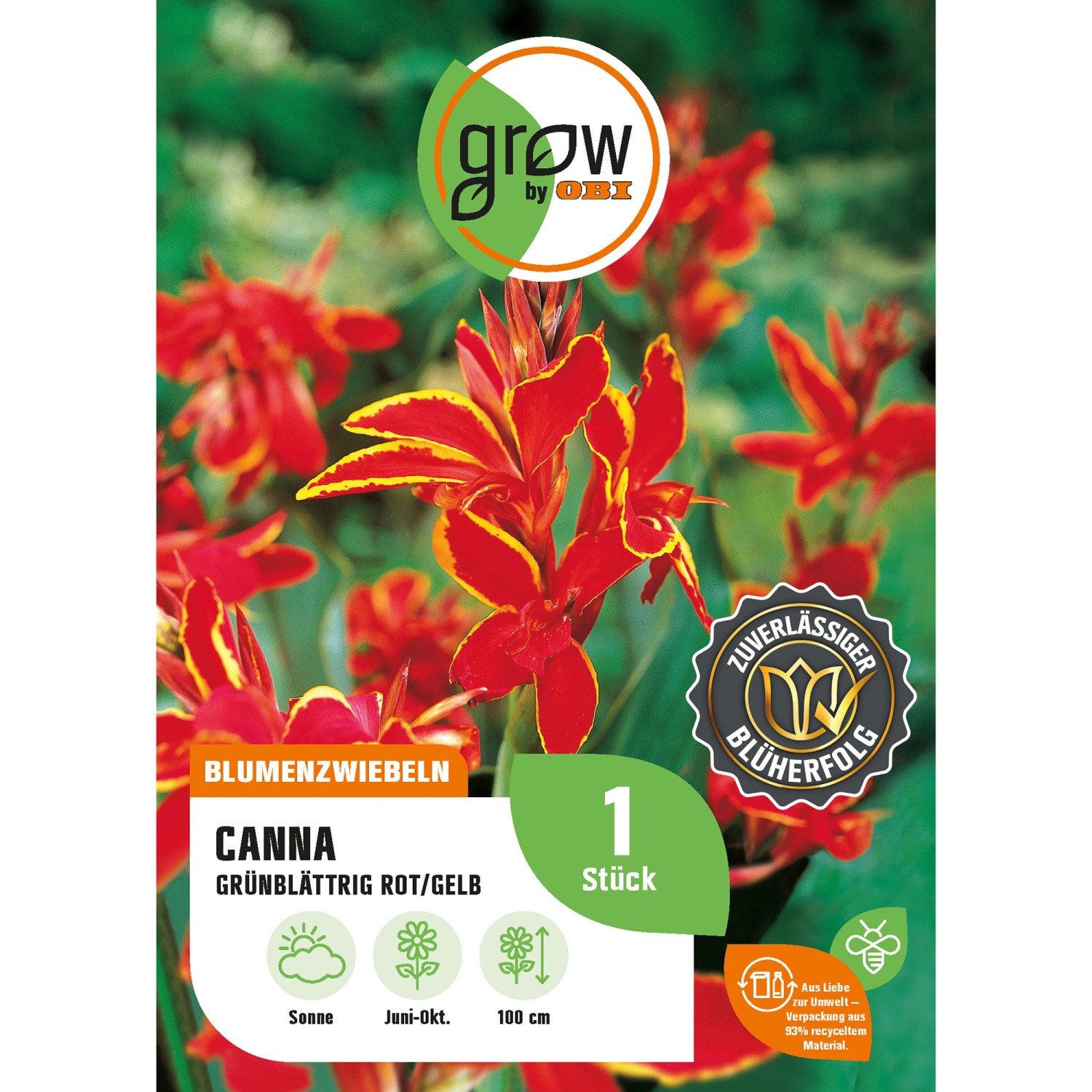 GROW by OBI Canna Grünblättrig Rot-Gelb Höhe ca. 100 cm Canna indica günstig online kaufen