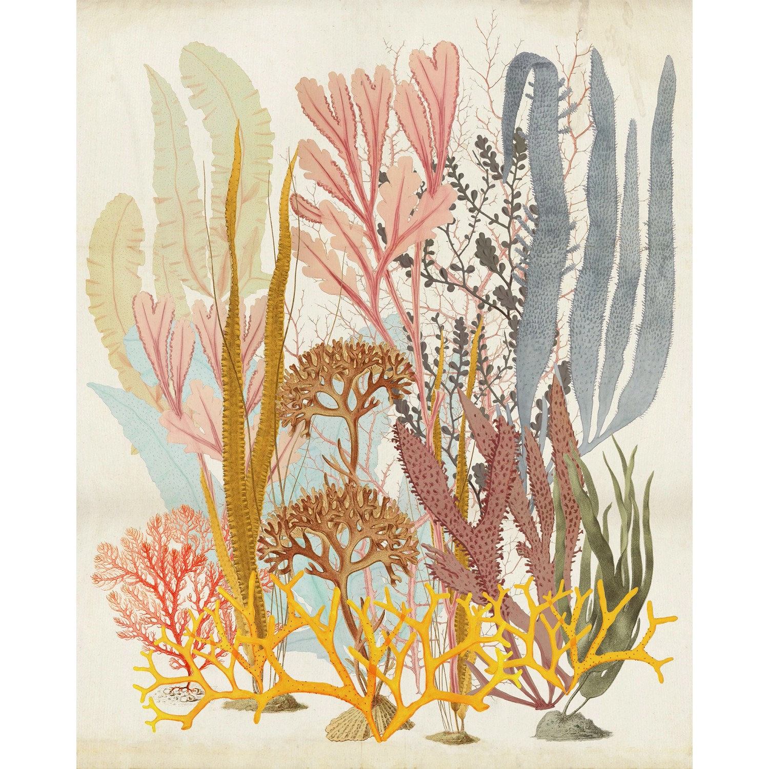 Komar Vliestapete »Catchy Corals«, 200x250 cm (Breite x Höhe), Vliestapete, günstig online kaufen