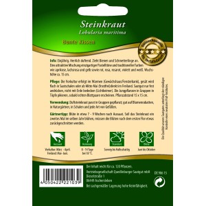 Samentüte Quedlinburger Steinkraut 'Bunte Kissen', Sommerblume für Beet und Balkon.