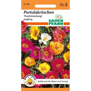 Farbenfrohe Portulakröschen Prachtmischung als Blumensamen für Beet und Balkon.