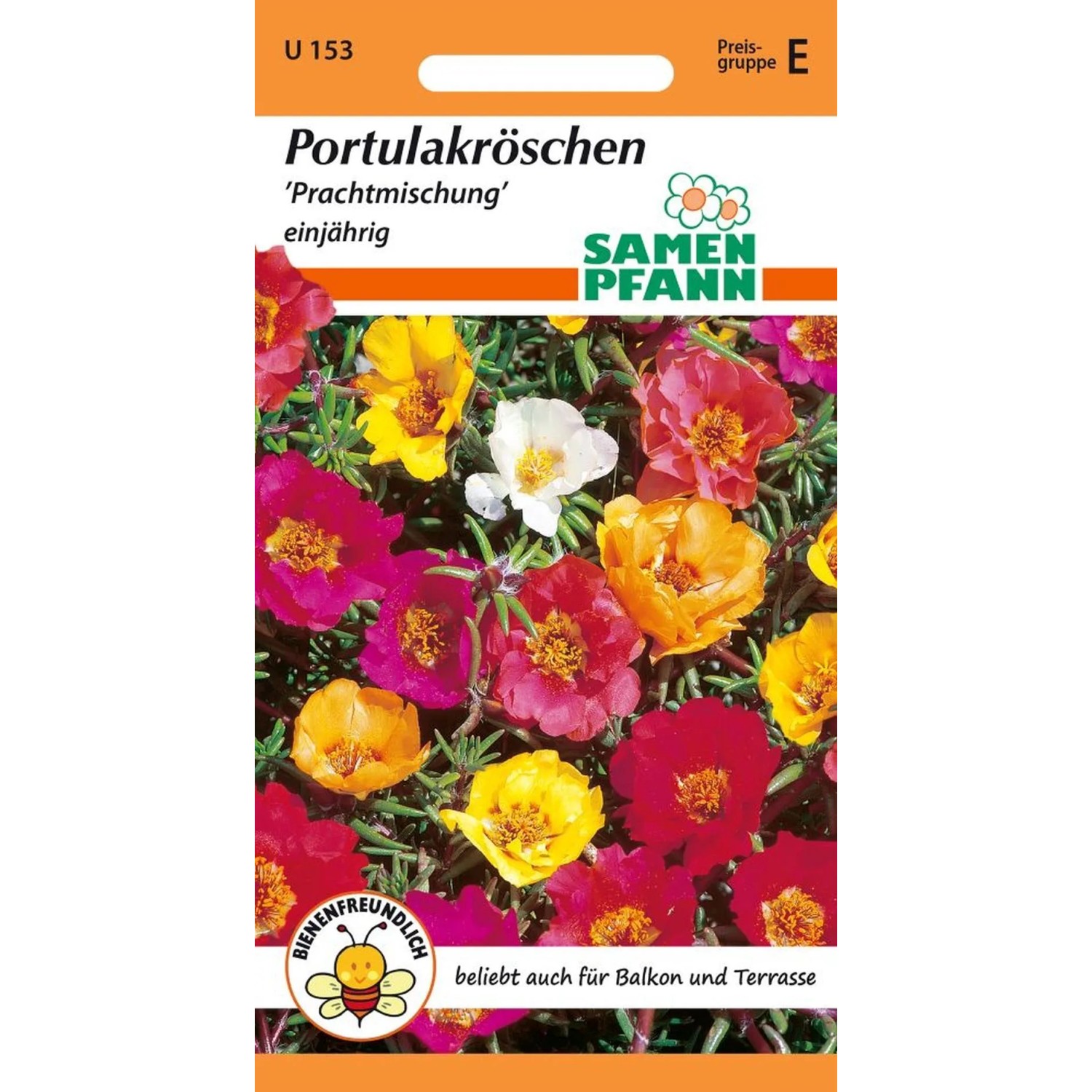 SAMEN PFANN Portulakröschen Prachtmischung