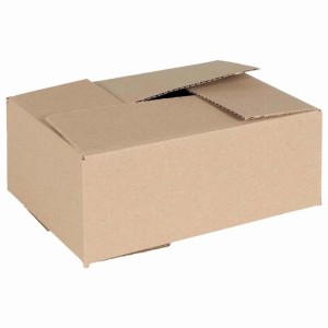 vidaXL Faltbox mit Speicher 50 Stk Natur 25 x 17,5 x 10 cm Karton 4106566