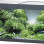 Eheim VivalineLED Aquarium-Komplettset, 126 l, anthrazit, bepflanzt.