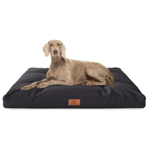 Hund liegt entspannt auf schwarzem Knuffelwuff Hundekissen Gatsby Cordura 75x50cm.