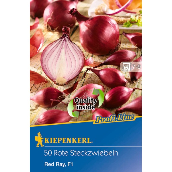 Steckzwiebeln kaufen bei OBI