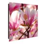 Banjado Schlüsselkasten mit Magnolien-Motiv, beschreibbare Glastür, 50 Haken.