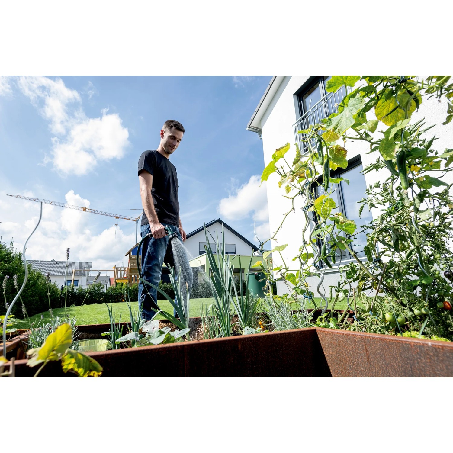 Mann bewässert Garten mit Metabo Akku-Tauchpumpe. Elektro-Pumpe im Einsatz.