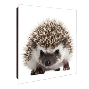 Banjado Schlüsselkasten Glas, 30x30cm, Motiv Igel. Magnetische Schlüsselbox mit 50 Haken.