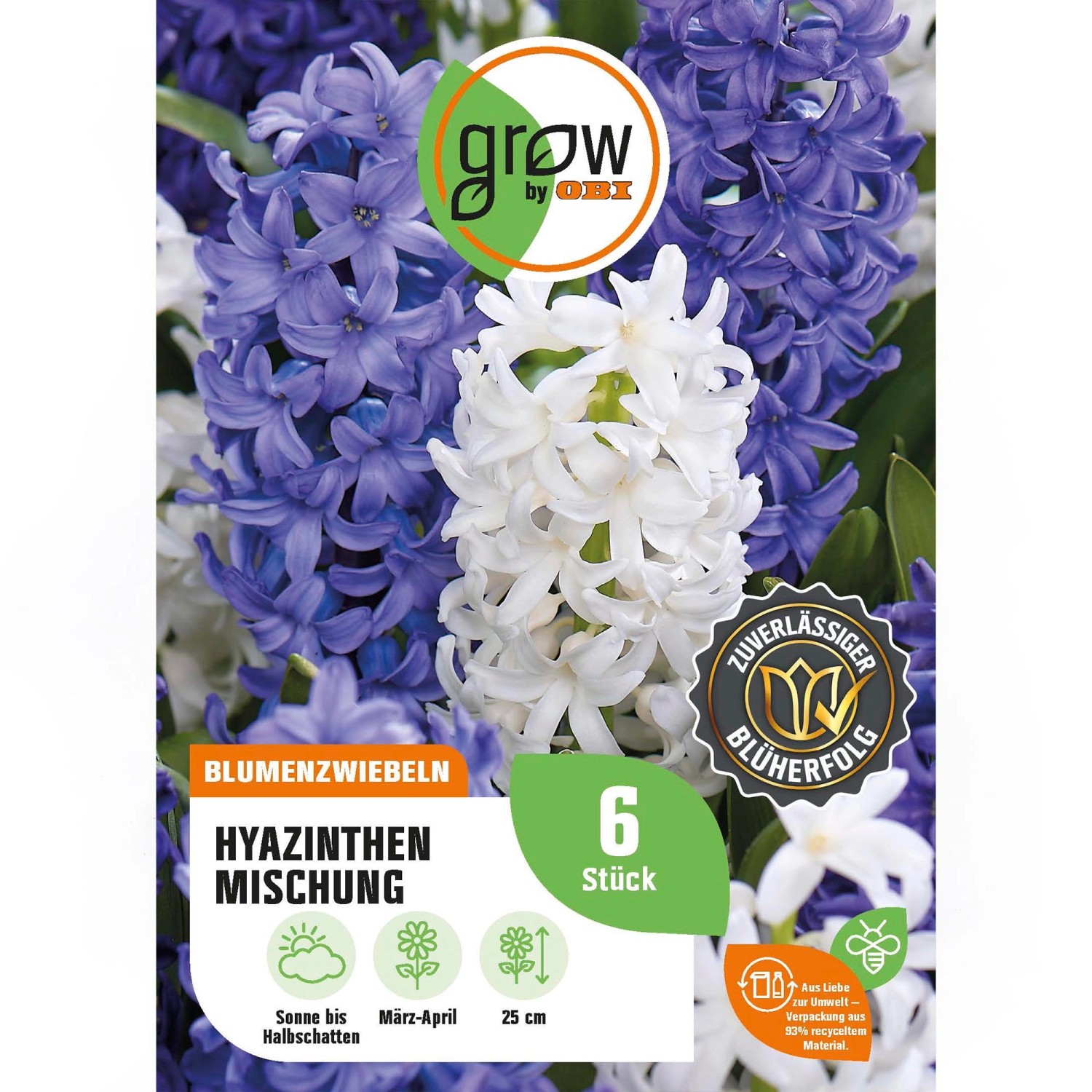GROW by OBI Hyazinthen Mischung 6 Stück Hyacinthus Mix günstig online kaufen