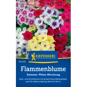 Kiepenkerl Flammenblume Sommer-Phlox Mischung mit Blüten in Gelb, Rot, Weiß und Lila.