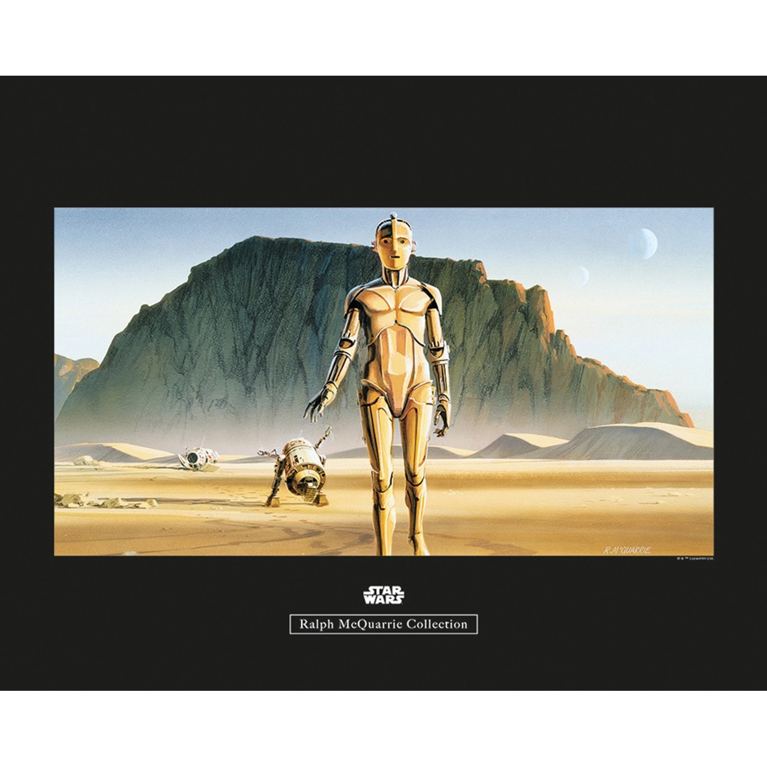 Komar Wandbild Star Wars Droids 50 x 40 cm günstig online kaufen