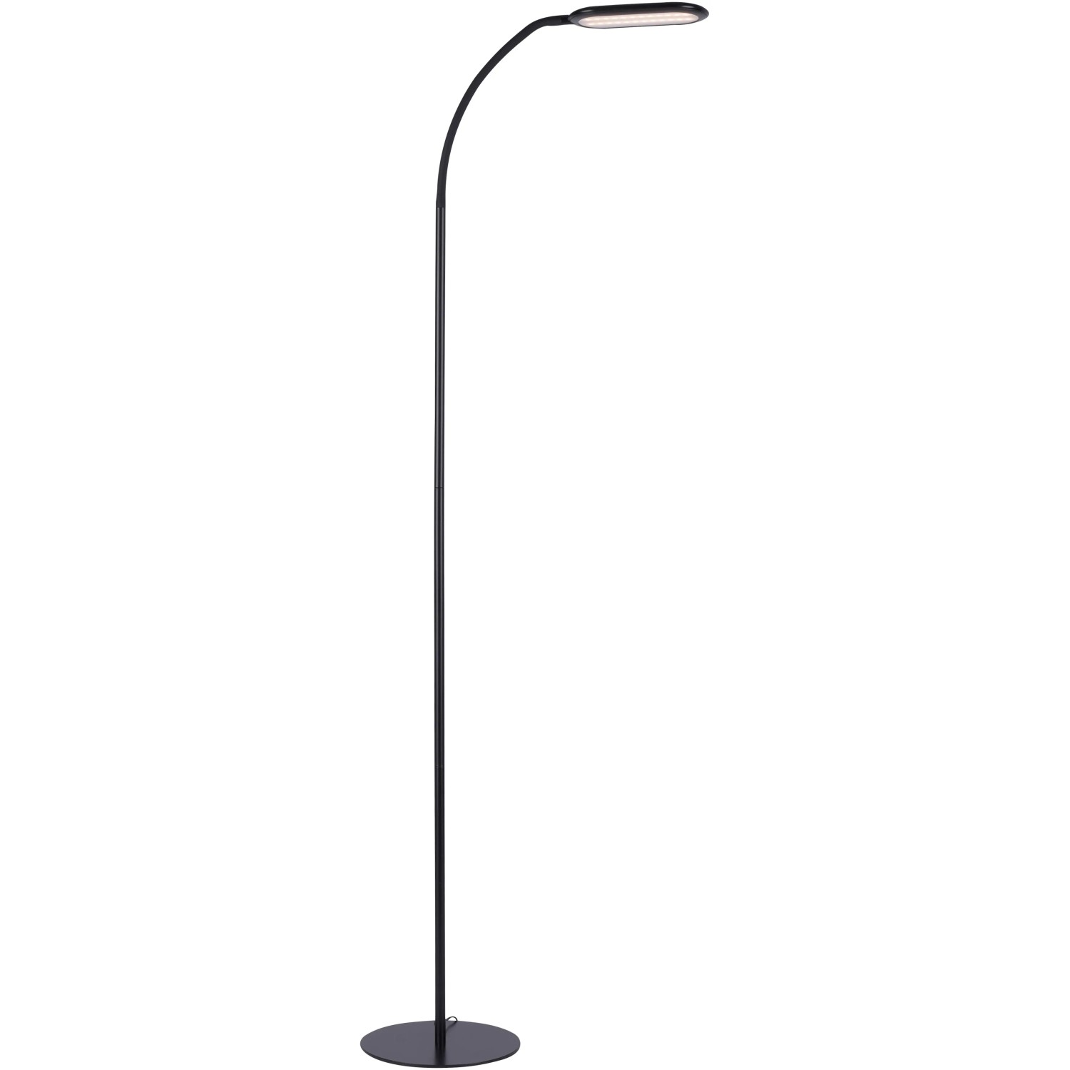 Schwarze LED Stehleuchte Kelly, 175cm hoch, mit Touchdimmer und verstellbarer Lichtfarbe.