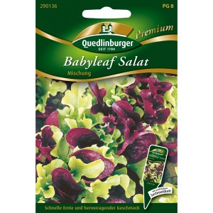 Quedlinburger Pflücksalat-Mischung Babyleaf Saatgut mit roten und grünen Salatblättern.