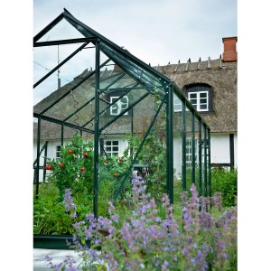 Grünes Halls Gewächshaus Popular 86 mit Pflanzen und Tomaten vor einem Haus.