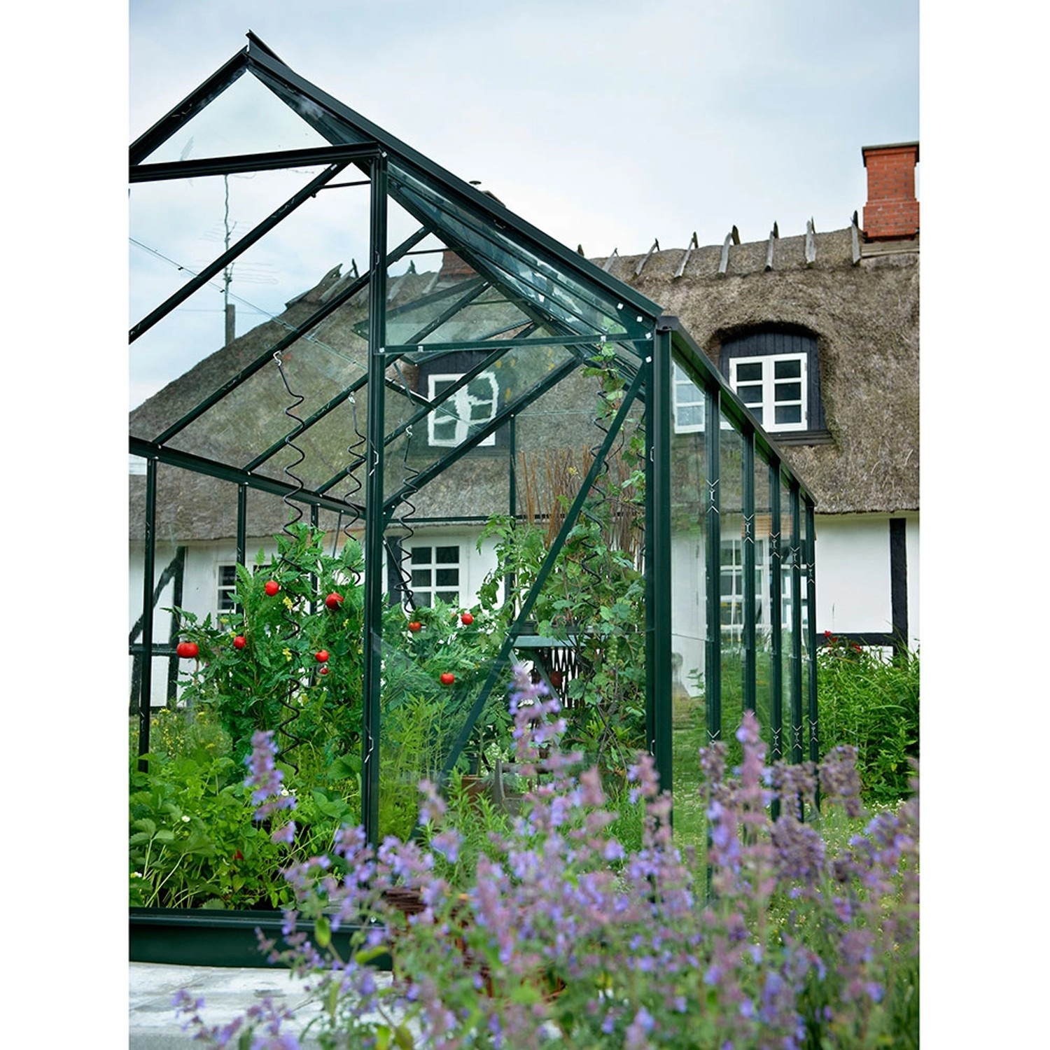 Grünes Halls Gewächshaus Popular 86 mit Pflanzen und Tomaten vor einem Haus.