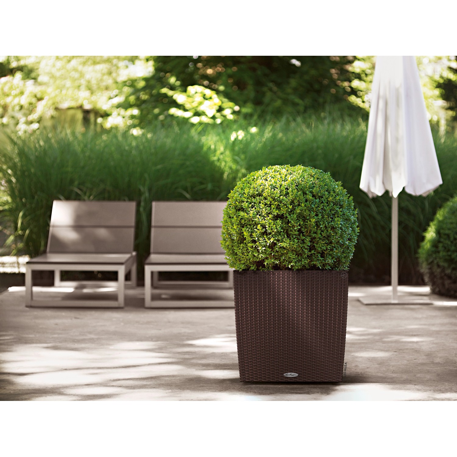 Lechuza Cube Cottage Pflanzgefäß, 40 cm, Mokka, mit Kugelbepflanzung im Garten.
