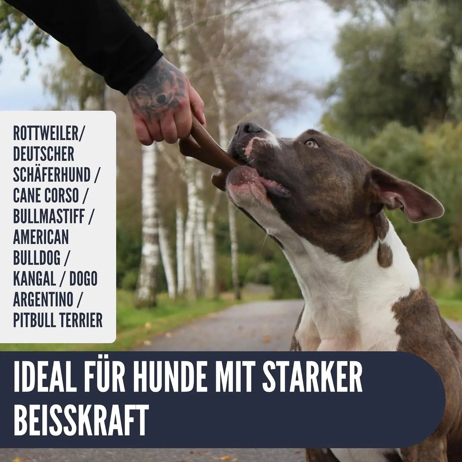 Supravit ChewDeer Beef Geschmack Kauspielzeug für Hunde_10