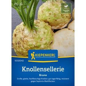Kiepenkerl Saatband Knollensellerie 'Bruno' mit glatten, runden Knollen und grünen Blättern.